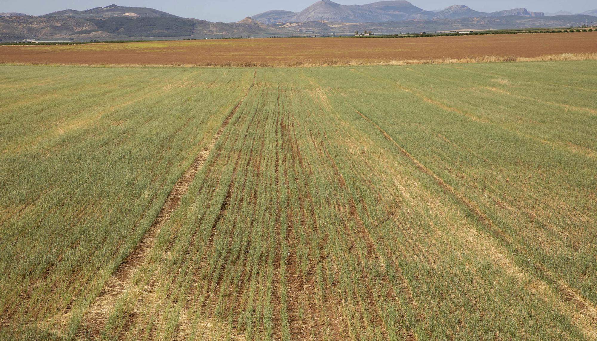 Andalucia Varios Medio Ambiente - 3